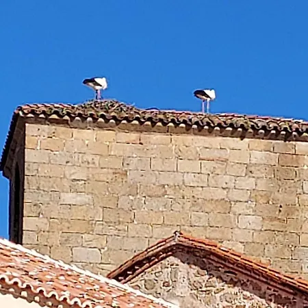 Rua Zapateria 10 Plasencia